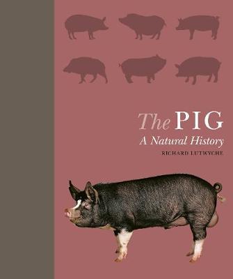 The Pig A Natural History
