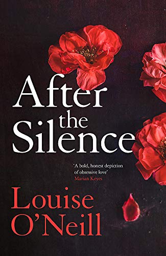 After the Silence: The An Post Irish Crime Novel of the Year