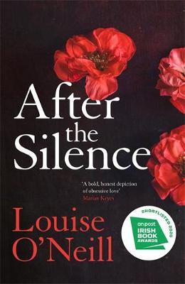 After the Silence: The An Post Irish Crime Novel of the Year