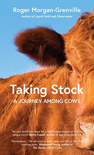 Taking Stock: A Journey Among Cows