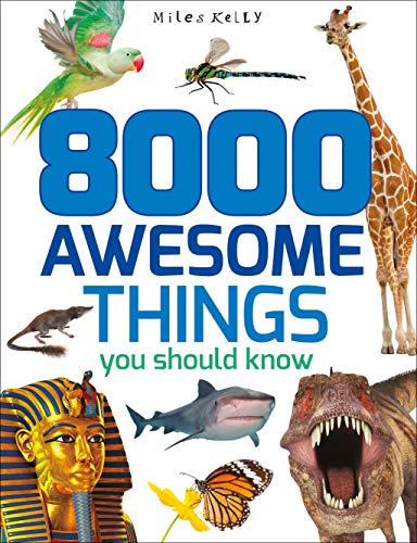 8000 Awesome Things You Should Know