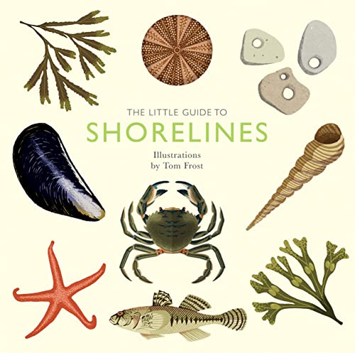 The Little Guide to Shorelines