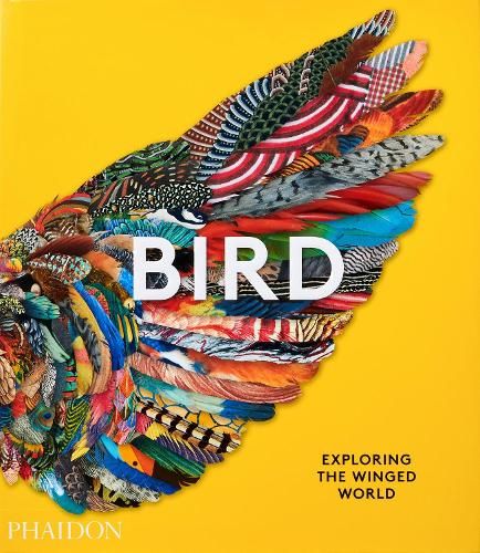 Bird, Exploring the Winged World