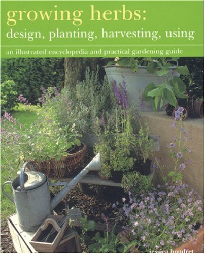Growing Herbs: Design, Planting, Harvesting, Using