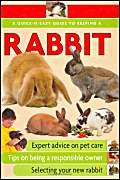 Quick-N-Easy Guide to Keeping a Rabbit