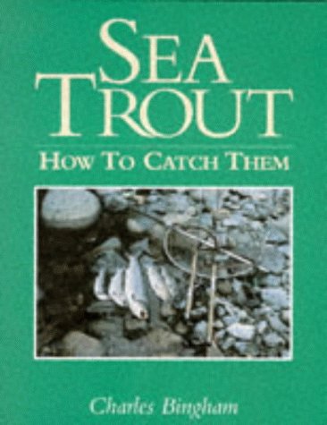 Sea Trout: How to Catch Them