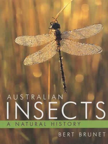 Australian Insects: A Natural History