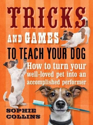Tricks and Games to Teach Your Dog: How to Turn Your Much-Loved Pet into an Accomplished Performer