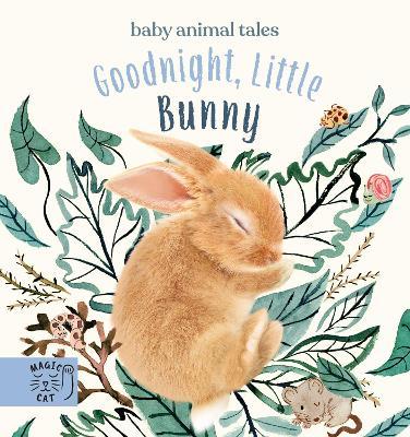 Goodnight, Little Bunny: A book about being brave