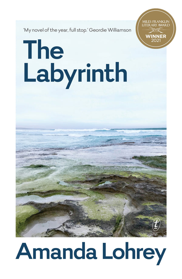 The Labyrinth: Winner of the 2021 Miles Franklin