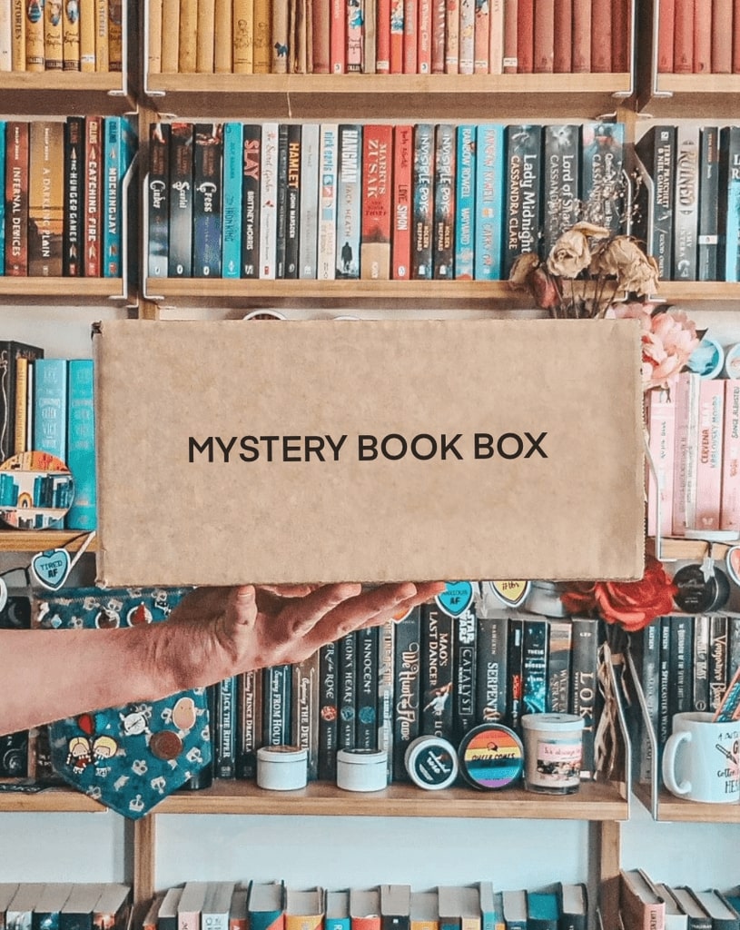 Mystery Bargain Book Box Book Grocer