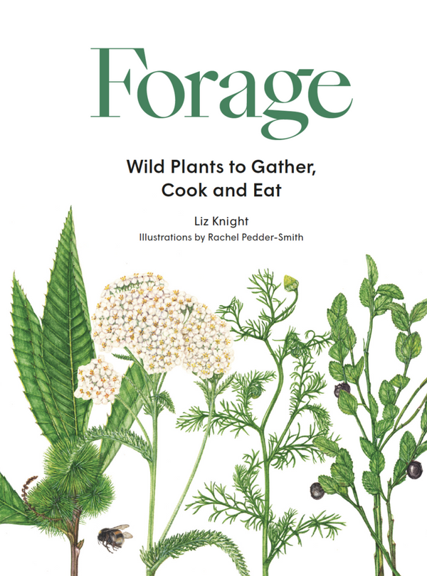 Forage: Wild plants to gather and eat