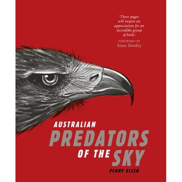 Australian Predators of the Sky