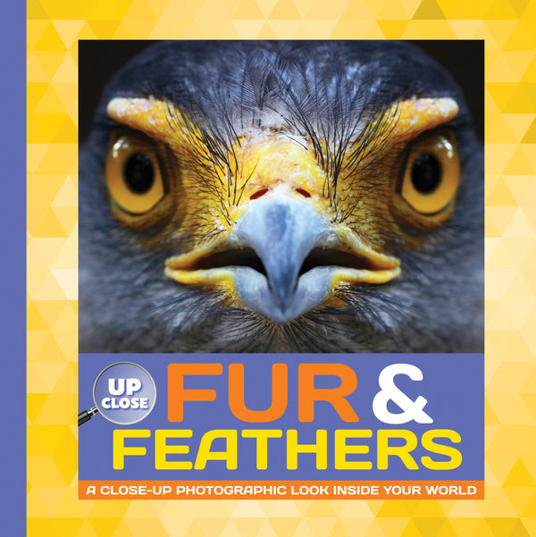 Fur & Feathers: A close-up photographic look inside your world
