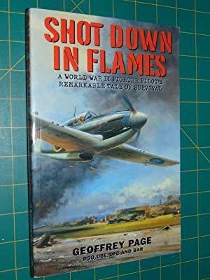 Shot Down in Flames