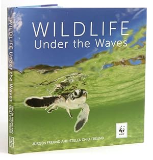 Wildlife Under the Waves