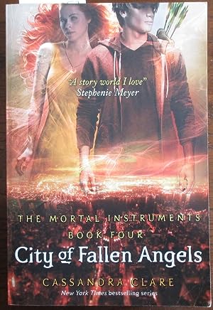Mortal Instruments Bk 4: City Of Fallen