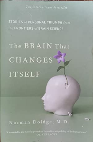 The Brain That Changes Itself