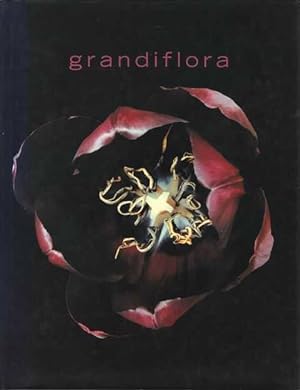 Grandiflora