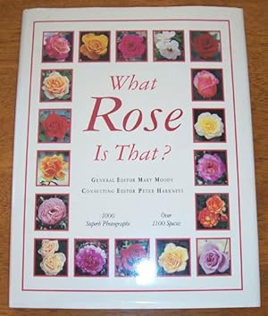 What Rose is That?