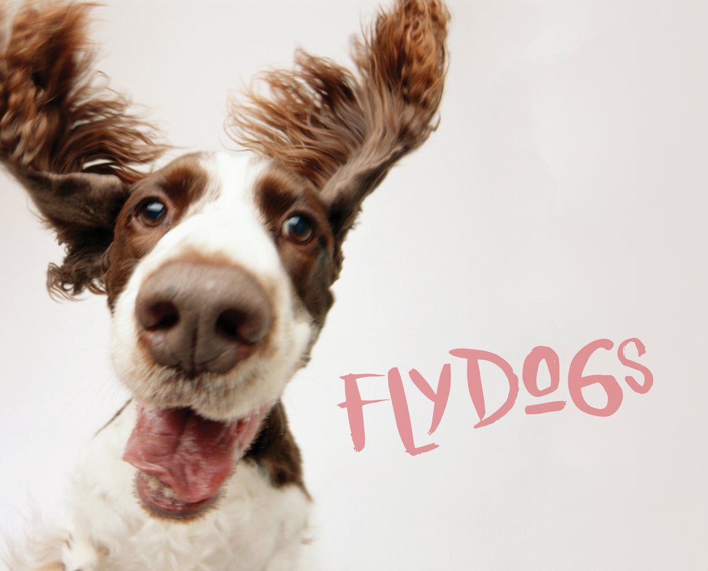 Flydogs