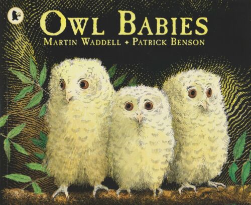 Owl Babies