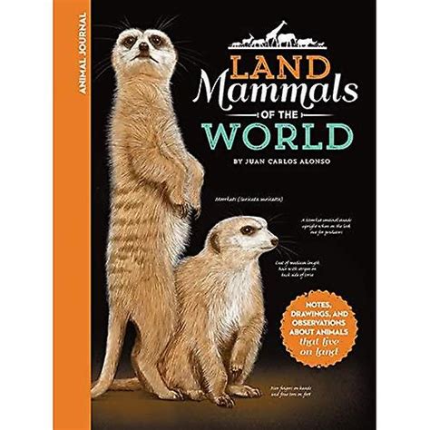 Animal Journal: Land Mammals of the World: Notes, drawings, and observations about animals that live on land