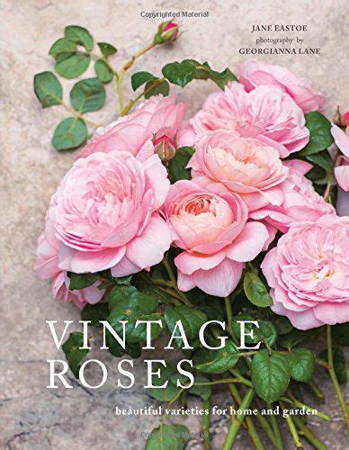 Vintage Roses: Beautiful varieties for home and garden