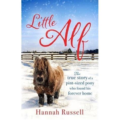 Little Alf: The true story of a pint-sized pony who found his forever home