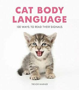 Cat Body Language: 100 Ways To Read Their Signals