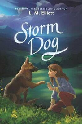 Storm Dog