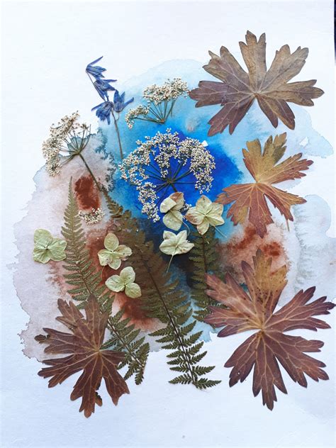 The Art of Pressed Flowers and Leaves: Contemporary techniques & designs
