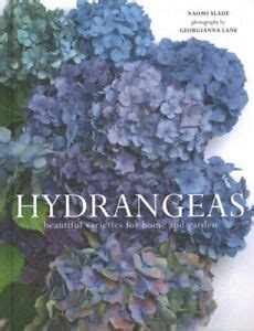 Hydrangeas: Beautiful varieties for home and garden