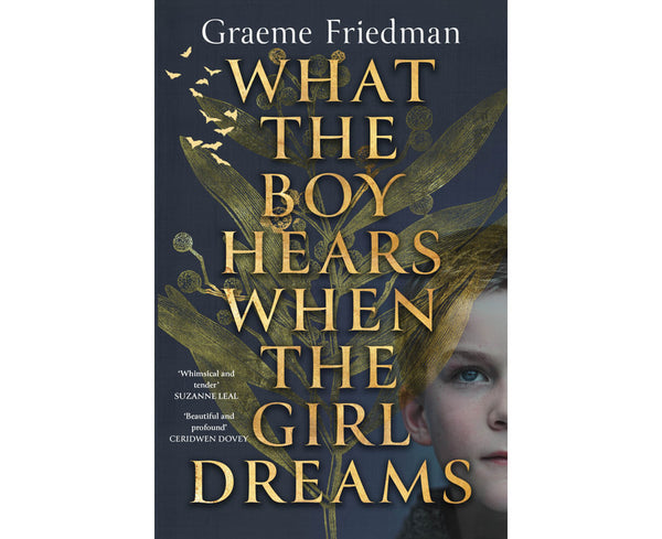 What the Boy Hears When the Girl Dreams